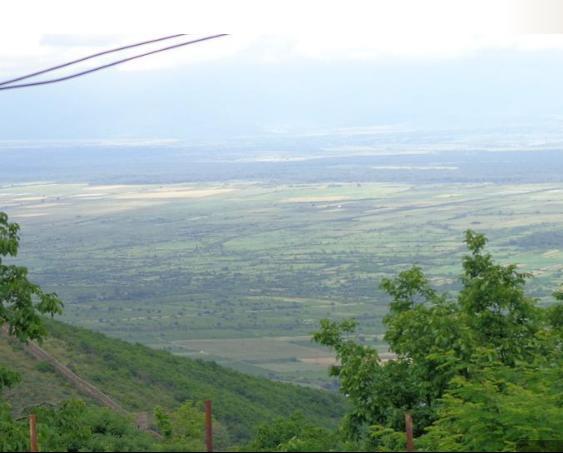 Goga Guesthouse Siğnaği Dış mekan fotoğraf