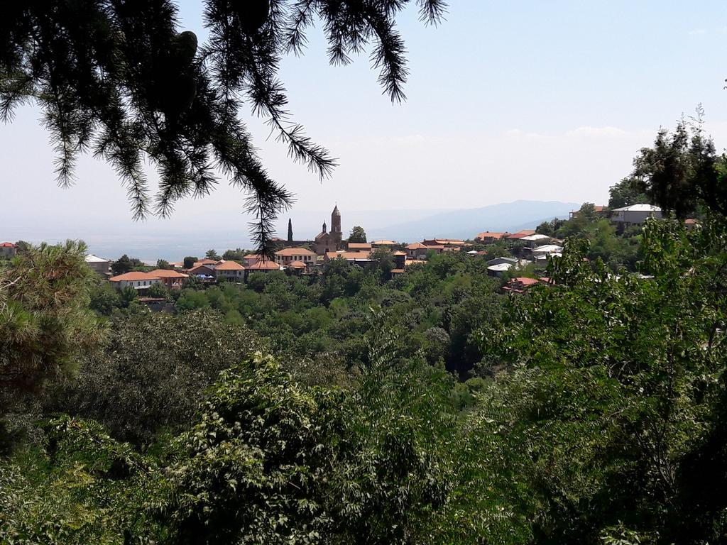 Goga Guesthouse Siğnaği Dış mekan fotoğraf