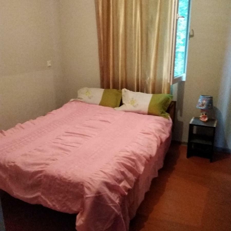 Goga Guesthouse Siğnaği Dış mekan fotoğraf